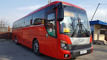HYUNDAI UNIVERSAL 2011 (for 46 persons)